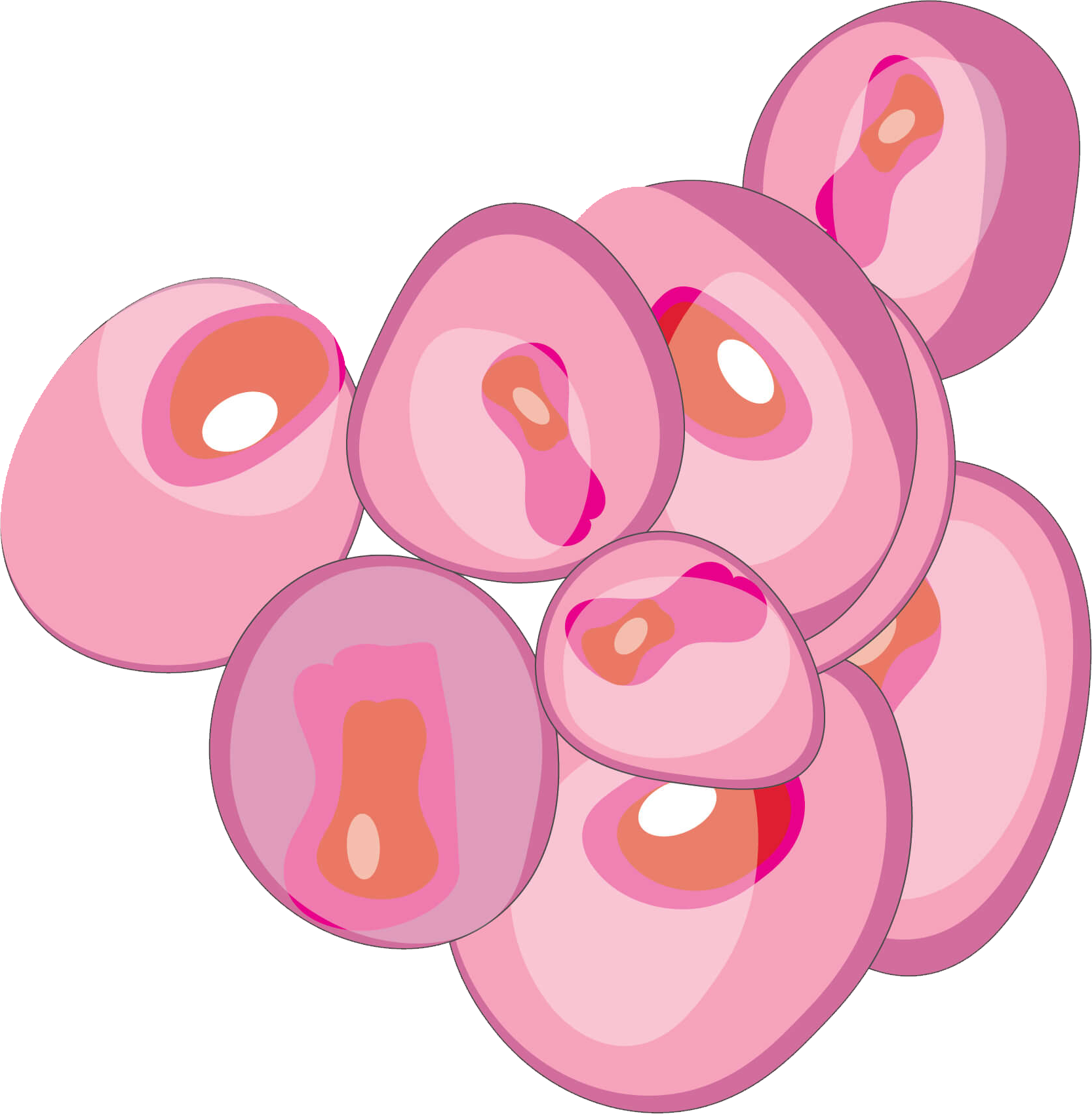 Cancerous cells in a cluster without a boundary
