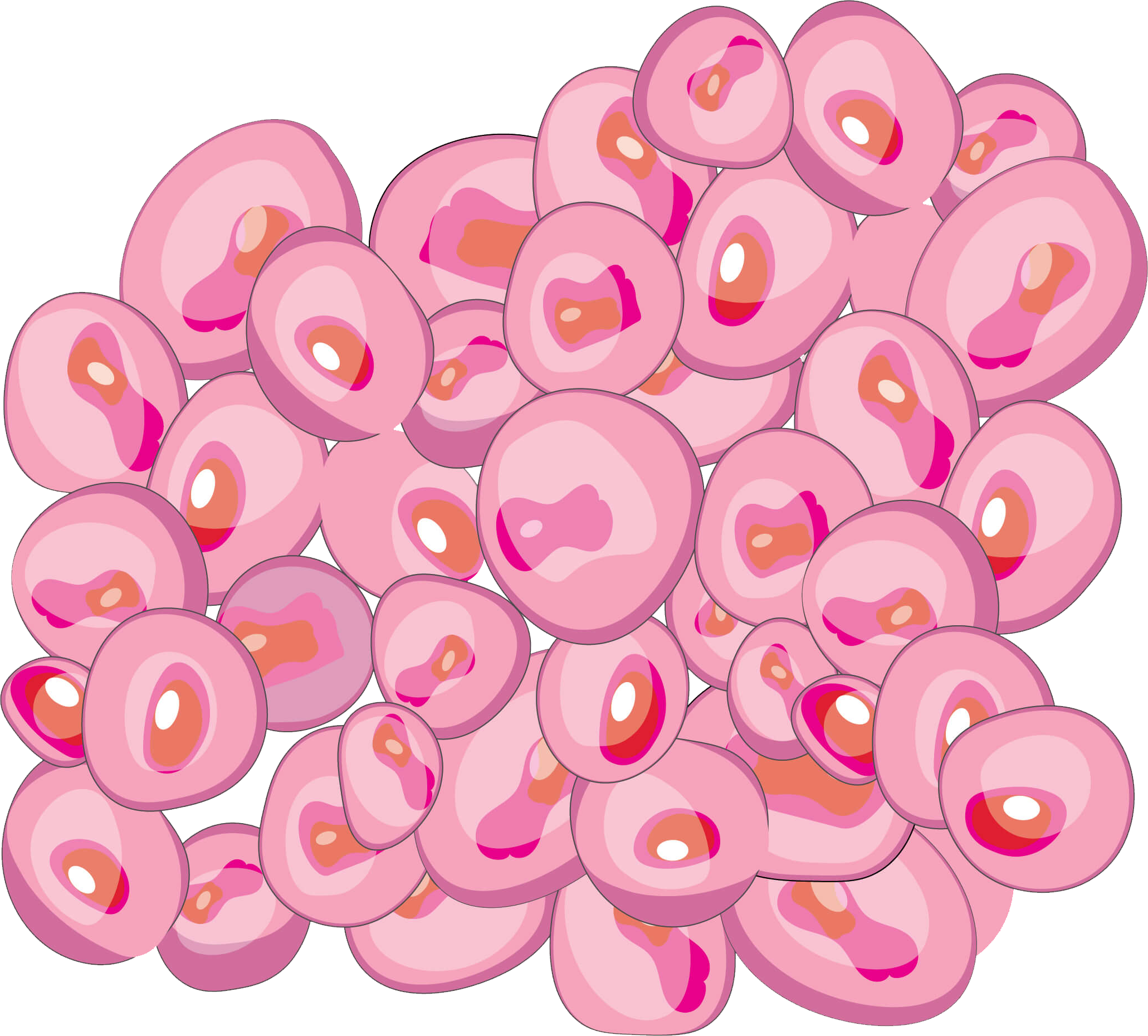 Cancerous cells continuing to grow and divide