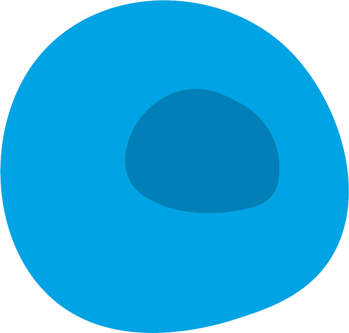 Normal cells have a smaller and lighter nucleus