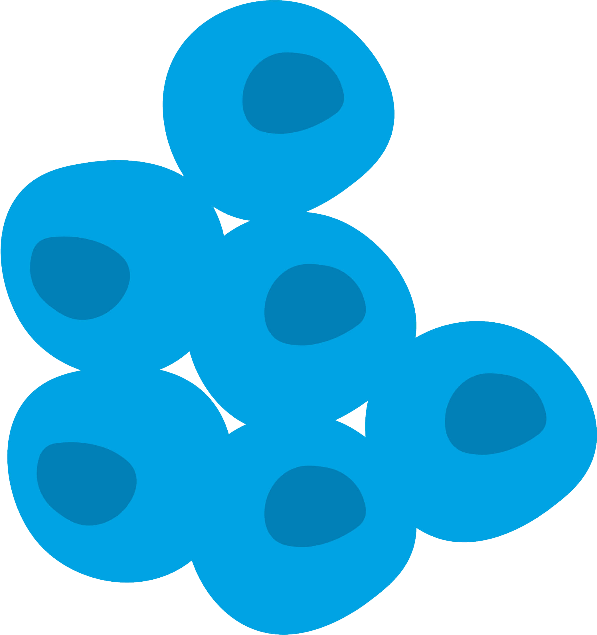 Normal cell clusters have a defined boundary
